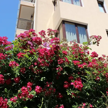 Flowers Guest house Nesebar