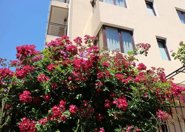 Flowers Maison d'hôtes Nessebar